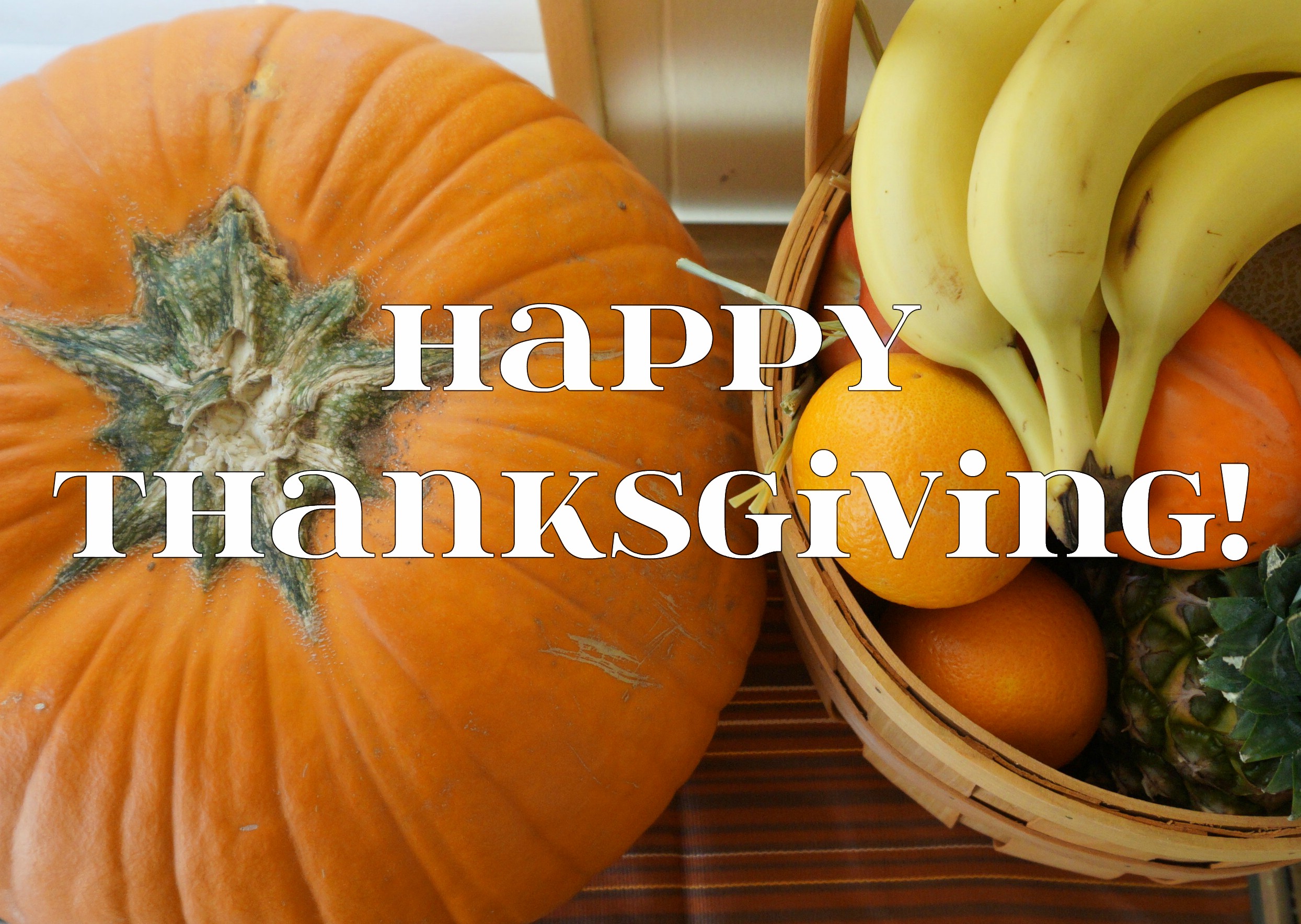 Happy Thanksgiving!